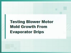 Testing Blower Motor Mold From Evaporator Drips